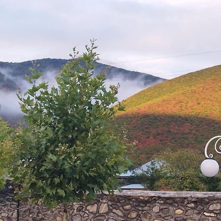 Tulpan Hotel Şǝki Eksteriør bilde