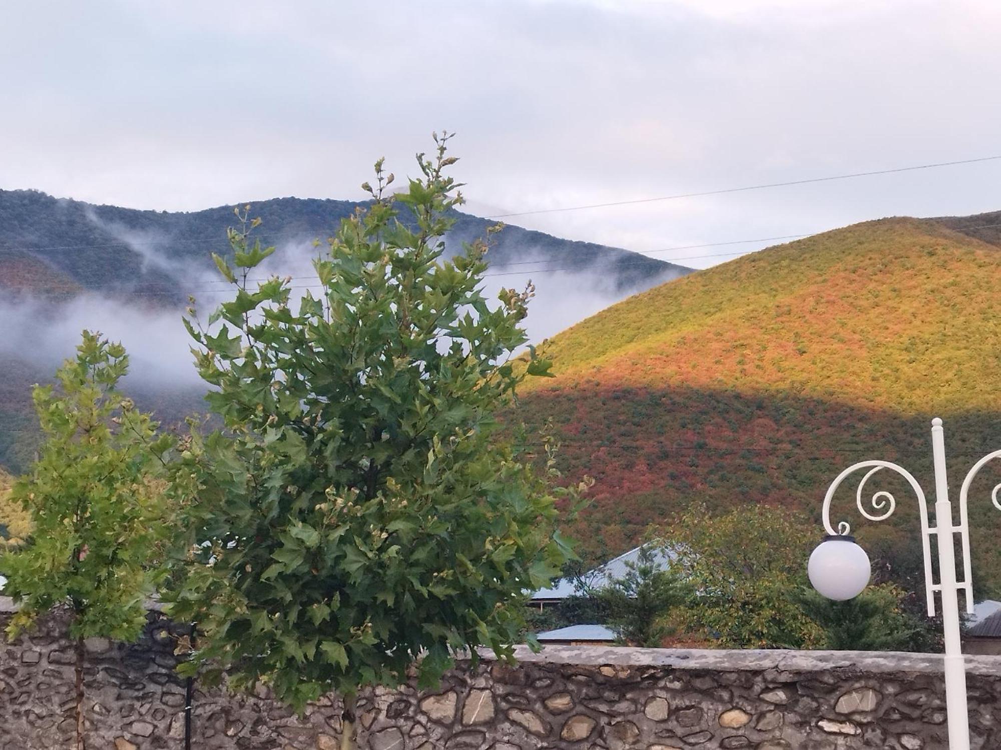 Tulpan Hotel Şǝki Eksteriør bilde